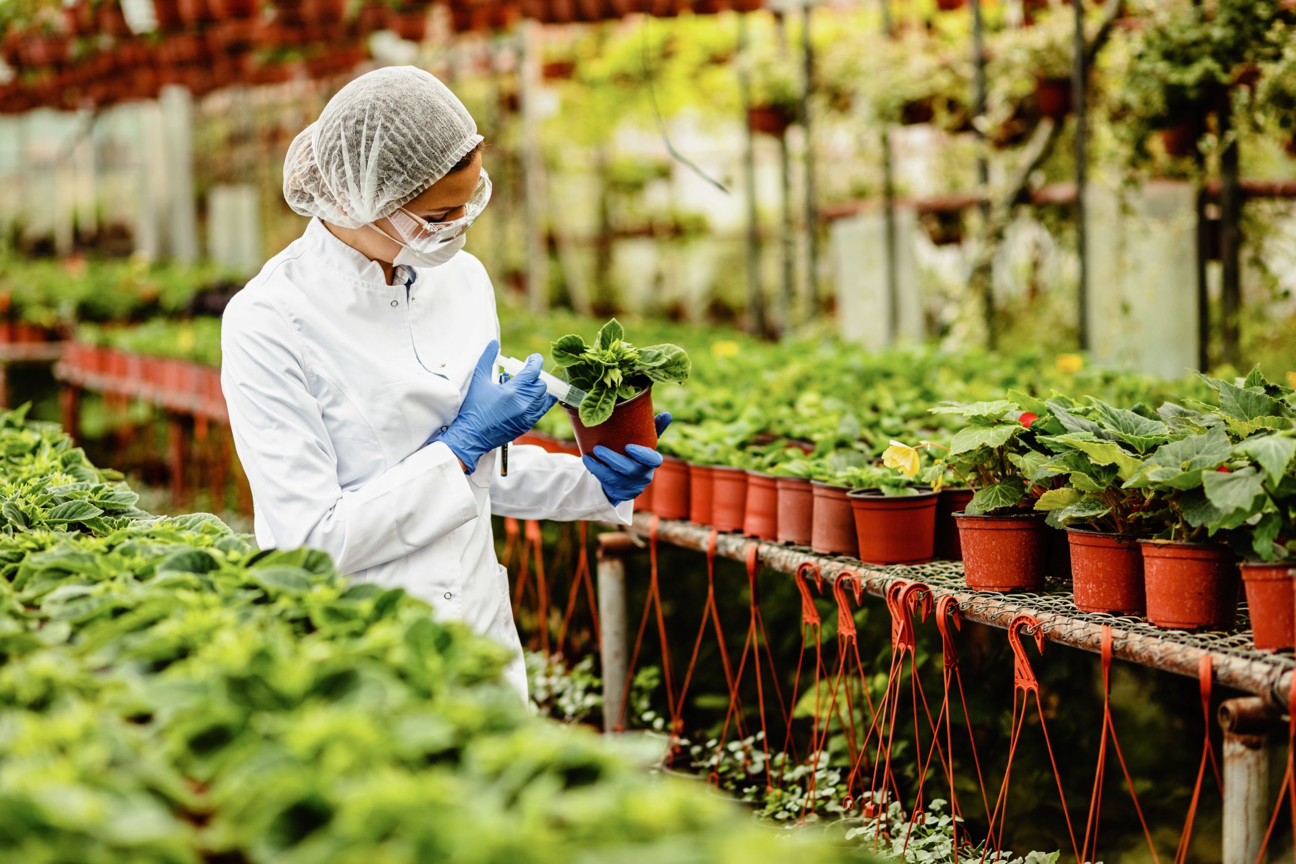 Agriculture & Food